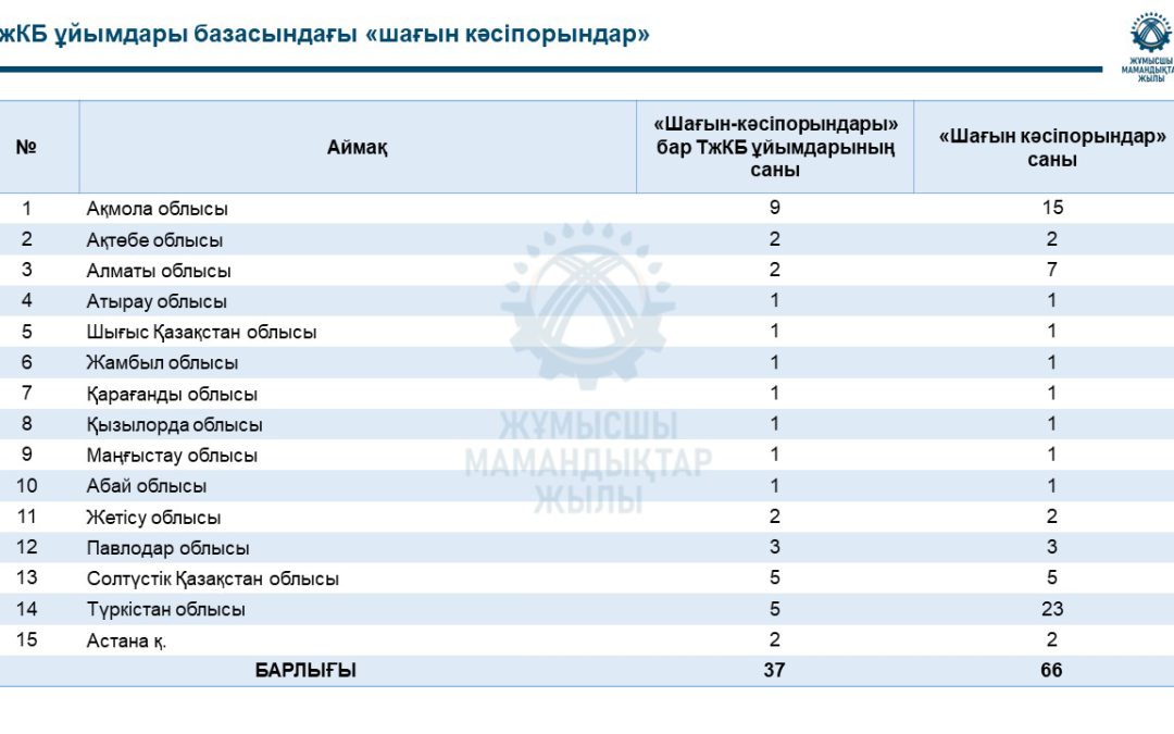Техникалық және кәсіптік, орта білімнен кейінгі білім беру ұйымдары базасында «шағын кәсіпорындар» жұмыс істеуі бойынша әдістемелік ұсынымдар
