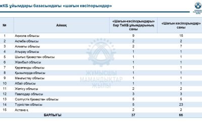 Техникалық және кәсіптік, орта білімнен кейінгі білім беру ұйымдары базасында «шағын кәсіпорындар» жұмыс істеуі бойынша әдістемелік ұсынымдар